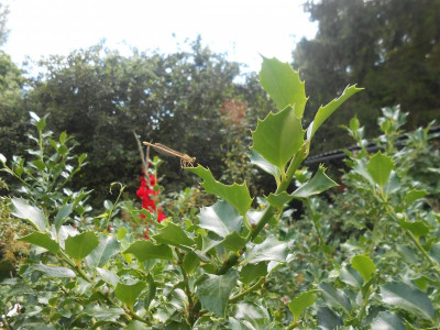 DSCN7663.JPG