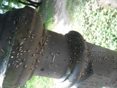 DSCN7666.JPG