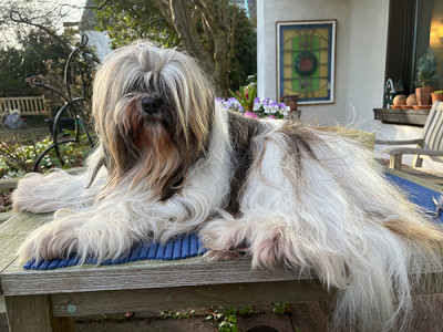 Dana-draussen-Friseur-small.jpg