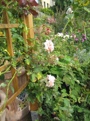 IMG_3839_Small.JPG