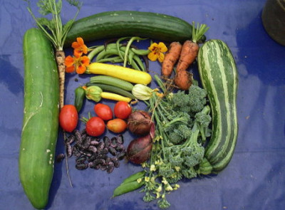 03.09.2008.JPG