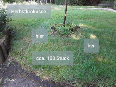 Bestellung.jpg