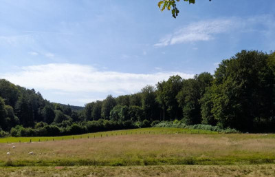 20240731_113418.jpg