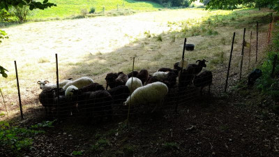 IMG-20240802-WA0027.jpeg