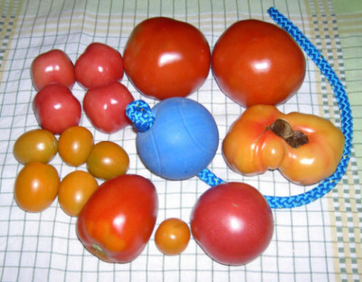 PICT2277a.jpg