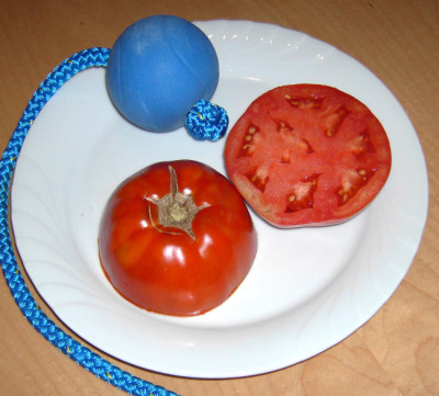 PICT2263a.jpg