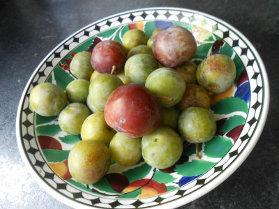 DSCN7737.JPG