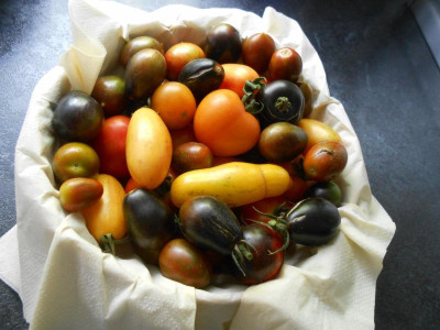 DSCN7740.JPG