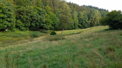 IMG-20240805-WA0011.jpeg