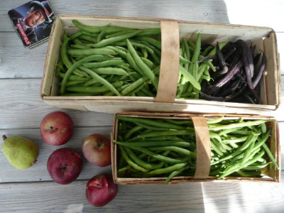 ernte_080905.jpg