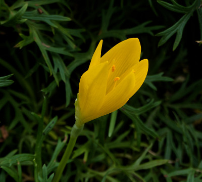 DSC02033_DxO.jpg