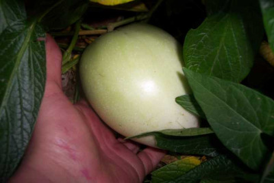 K640_100_5863.JPG