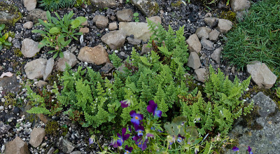 DSC02040_DxO.jpg
