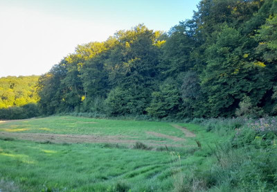 20240811_192651.jpg