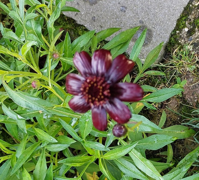 20240815_091832.jpg