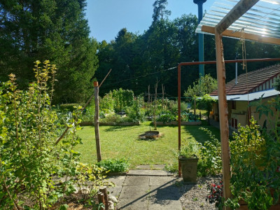 20240815_170807.JPG