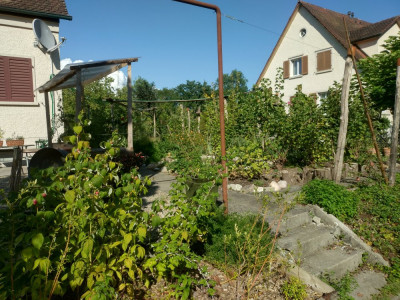 20240815_170913.JPG