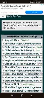 Screenshot_2024-08-16-06-40-06-484_com.android.chrome.jpg