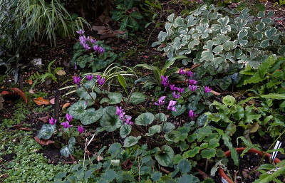 DSC02054_DxO.jpg