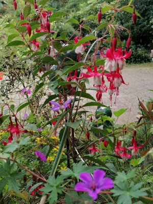 IMG_20240817_124150.jpg