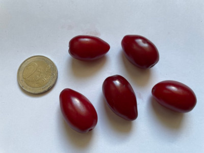 Cornus mas Kasanlaker Frucht .jpg