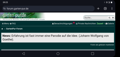 Screenshot_20240818-092546.png