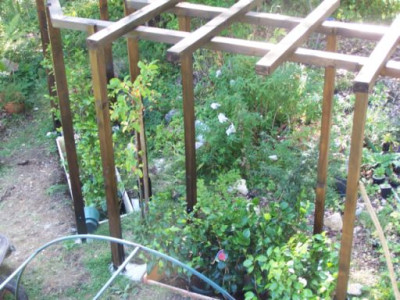 100_1519_Pergola_von_oben__500.jpg
