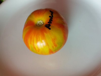 20240819_143359.jpg