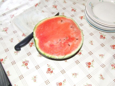 Melone-Mama-1.jpg