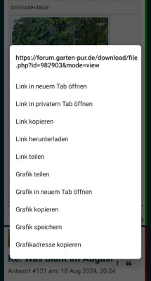 Screenshot_20240819-194857_Firefox.jpg