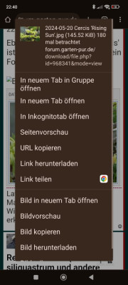 Screenshot_2024-08-19-22-40-30-961_com.android.chrome.jpg