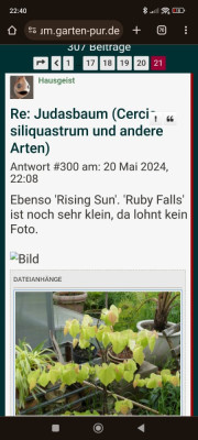 Screenshot_2024-08-19-22-40-40-003_com.android.chrome.jpg