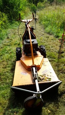 IMG-20240820-WA0008.jpeg