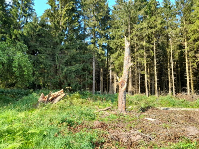 20240820_163217.jpg