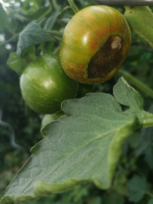 BEF_20240820.jpg