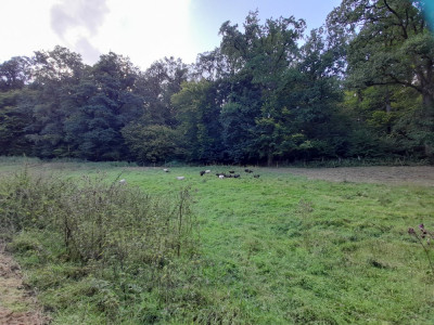 20240821_171105.jpg