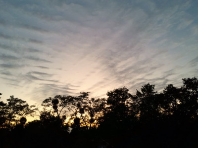 20240821_203425.jpg