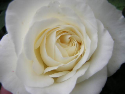 GroenanderungDSCN3186.JPG