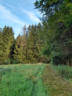 20240823_174043.jpg