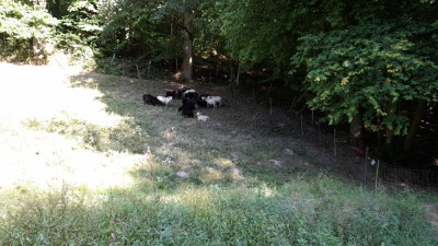 IMG-20240824-WA0006.jpeg