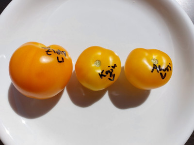 20240824_145017.jpg