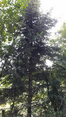 IMG-20240824-WA0024.jpeg