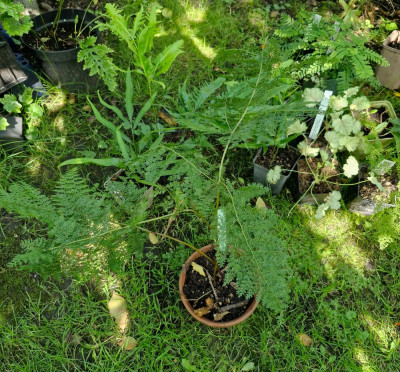 20240825_145247.jpg