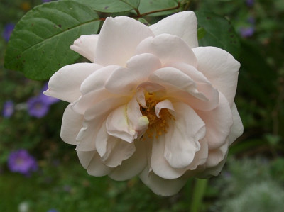 Martine-Guillot-08-09.jpg