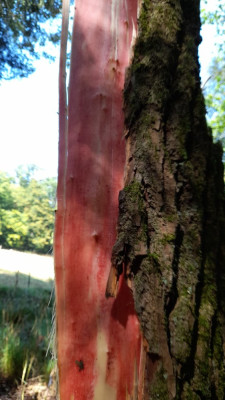 IMG-20240826-WA0010.jpeg