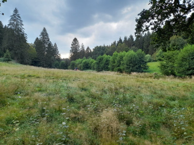 20240829_165525.jpg