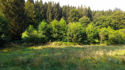 IMG-20240829-WA0047.jpeg