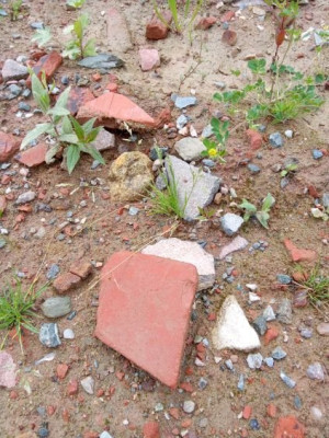 Ausgleichsbecken II.jpg
