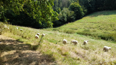 IMG-20240831-WA0024.jpeg
