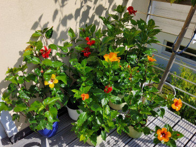 20240901_115338.jpg